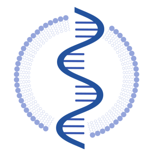 5th mRNA-Based Therapeutics Summit