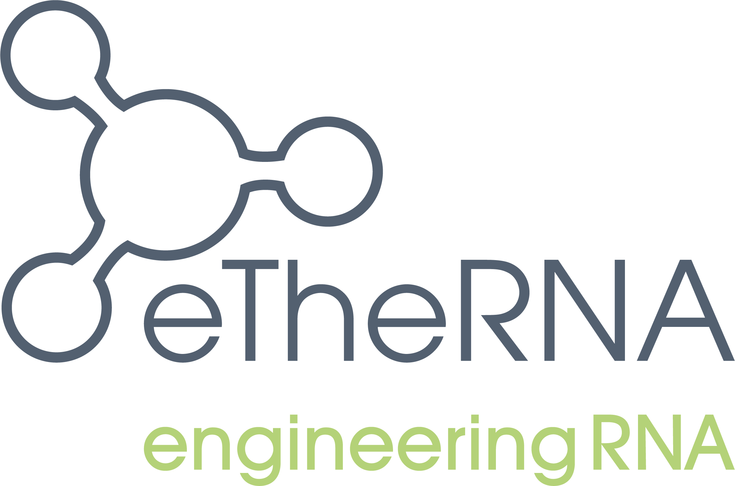 eTheRNA engineering