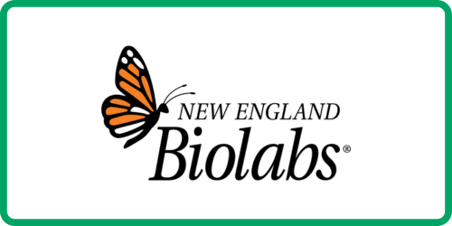 new england biolabs updated logo
